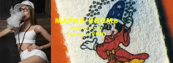 прущие грибы Костерёво