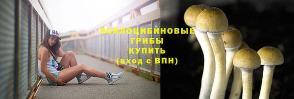 спиды Козельск
