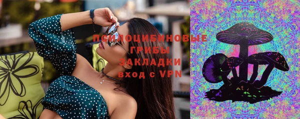 прущие грибы Костерёво