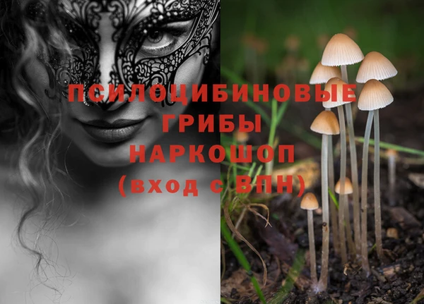 прущие грибы Костерёво
