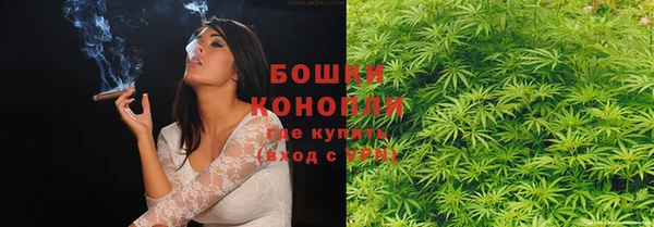 спиды Козельск