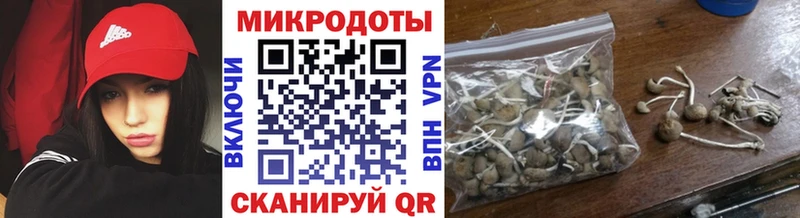 OMG ТОР  Псков  Галлюциногенные грибы прущие грибы 