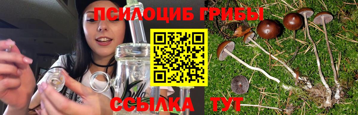 Псилоцибиновые грибы мицелий Псков