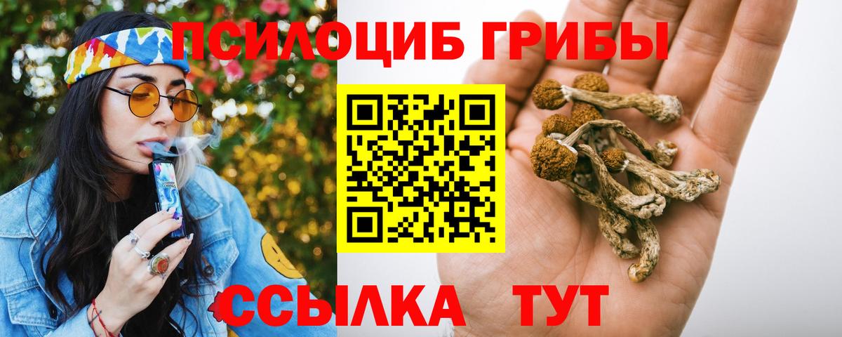 Псилоцибиновые грибы мицелий  Вход с VPN  Псков 